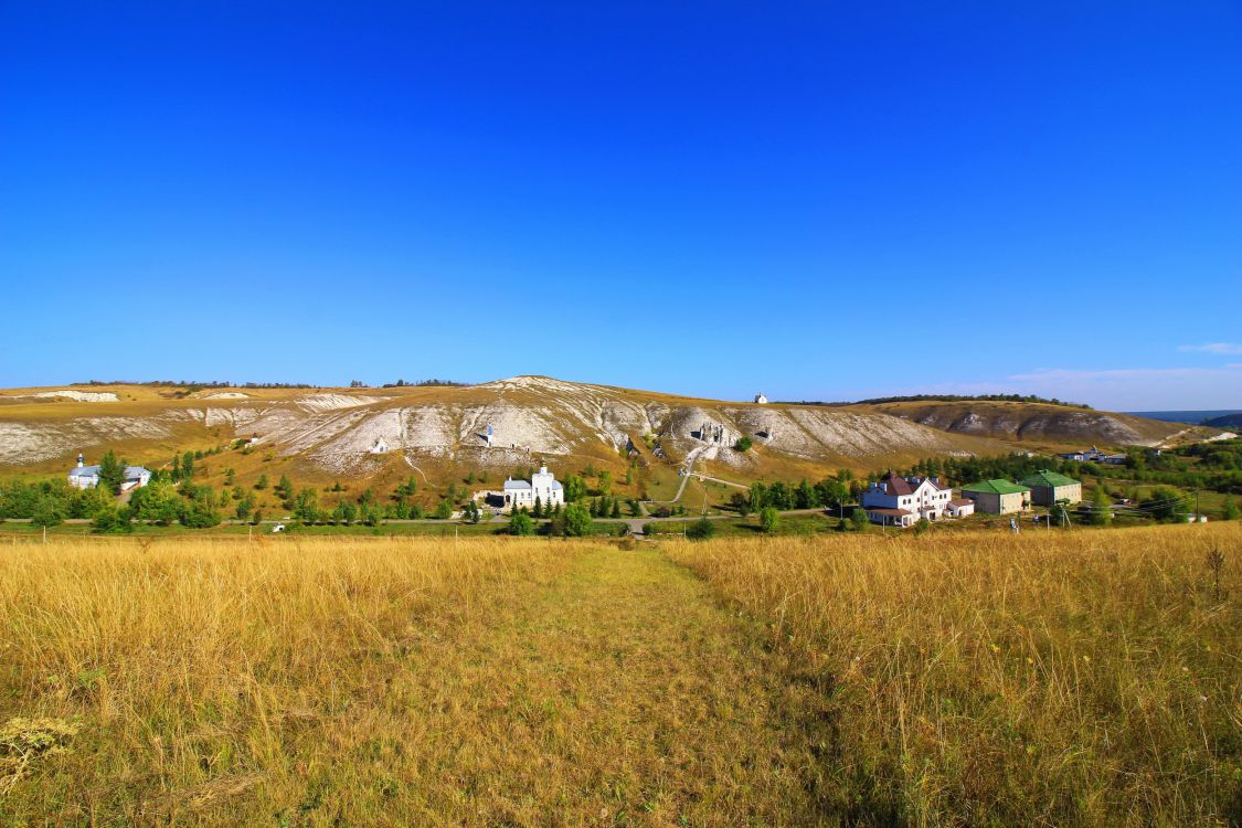 Костомаровский Спасский монастырь, Костомарово (Подгоренский район, Воронежская область). общий вид в ландшафте