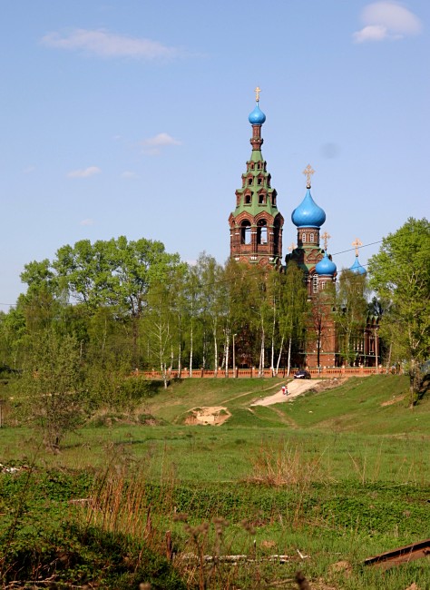 Черкизово. Церковь Покрова Пресвятой Богородицы. общий вид в ландшафте