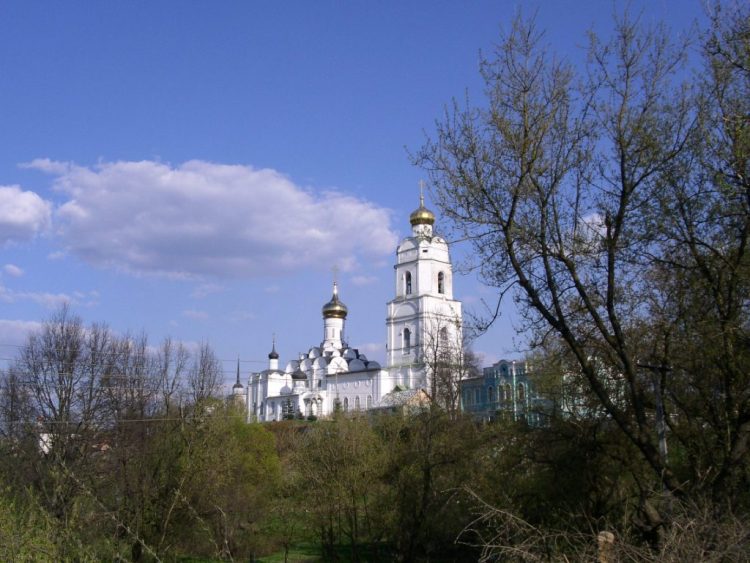 Собор Троицы Живоначальной, Вязьма (Вяземский район, Смоленская область). дополнительная информация, вид с северо-запада