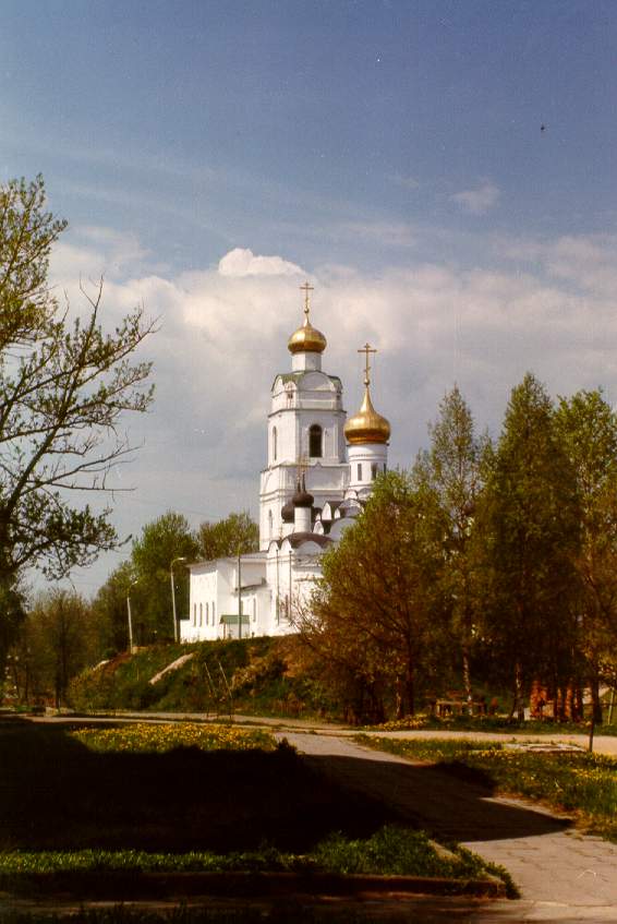 Вязьма. Собор Троицы Живоначальной. общий вид в ландшафте