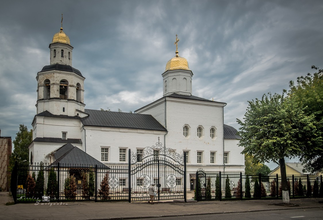 Смоленск. Вознесенский монастырь. фасады