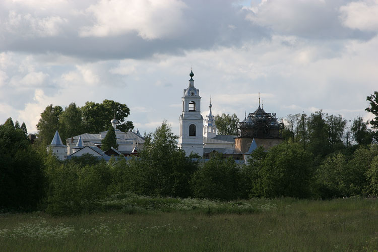 Николо-Улейминский монастырь, Улейма (Угличский район, Ярославская область). общий вид в ландшафте