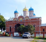 Церковь Рождества Христова, , Ильинское, Дмитровский городской округ, Московская область