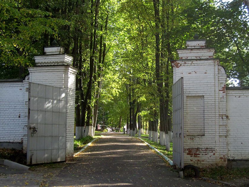 Спасо-Влахернский монастырь, Деденево (Дмитровский городской округ, Московская область). дополнительная информация, Северные врата церковной ограды.