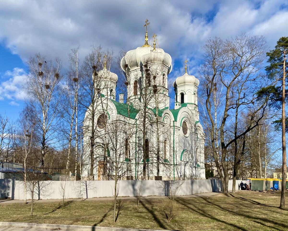 Кафедральный собор Павла апостола, Гатчина (Гатчинский район, Ленинградская область). фасады, Вид с ЮЗ