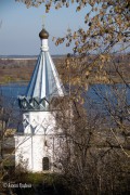 Церковь Космы и Дамиана, , Муром, Муромский район и г. Муром, Владимирская область