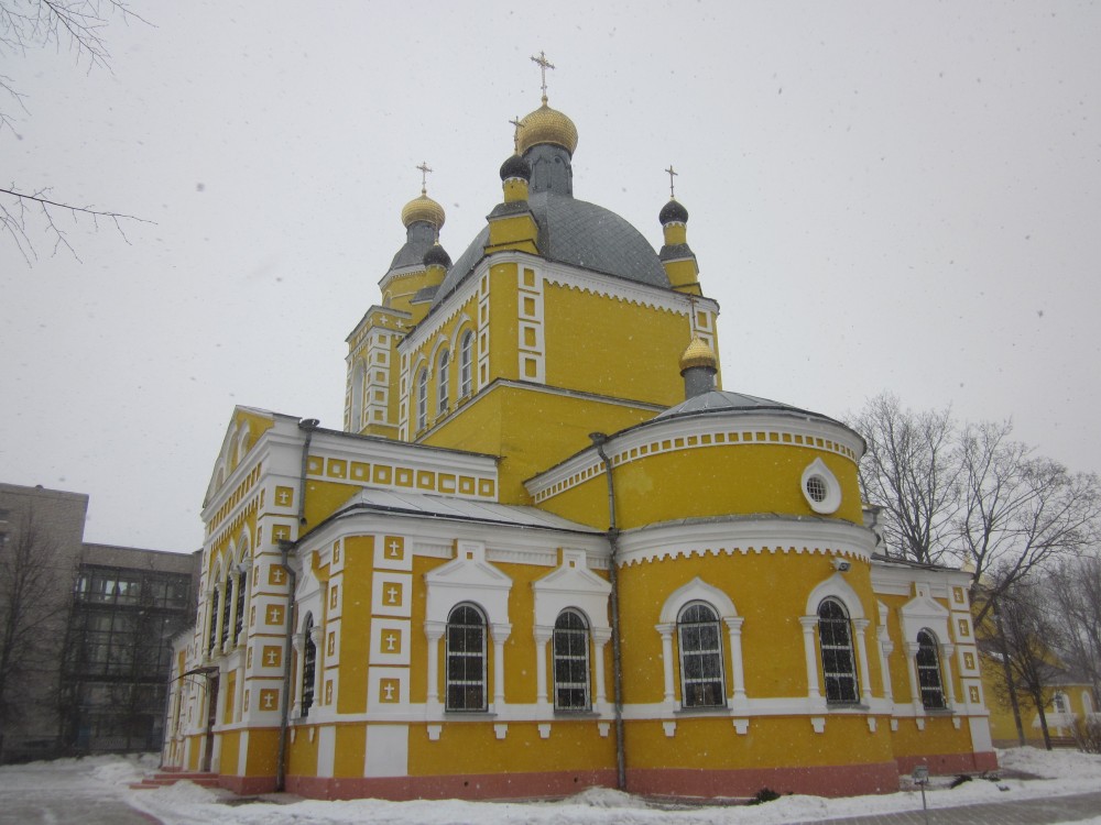 Клинцы. Кафедральный собор Петра и Павла. фасады