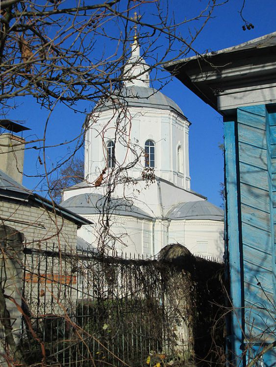 Церковь Троицы Живоначальной, Погар (Погарский район, Брянская область). архитектурные детали