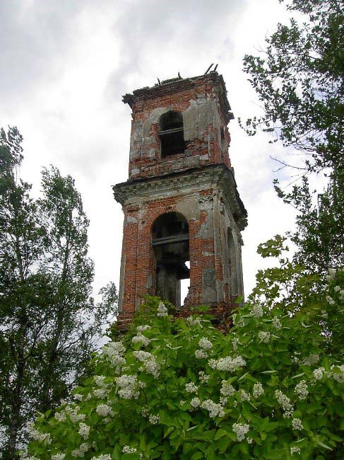 Колокольня церкви Покрова Пресвятой Богородицы, Мелковичи (Батецкий район, Новгородская область). архитектурные детали