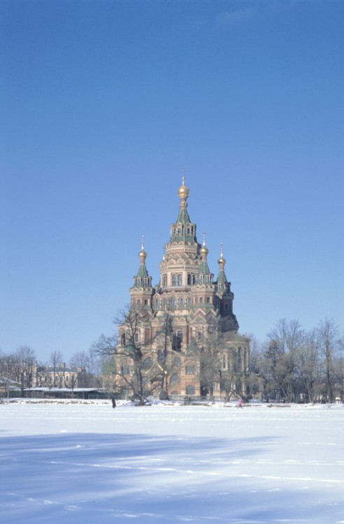 Собор Петра и Павла в Новом Петергофе, Петергоф (Санкт-Петербург, Петродворцовый район, г. Санкт-Петербург). общий вид в ландшафте
