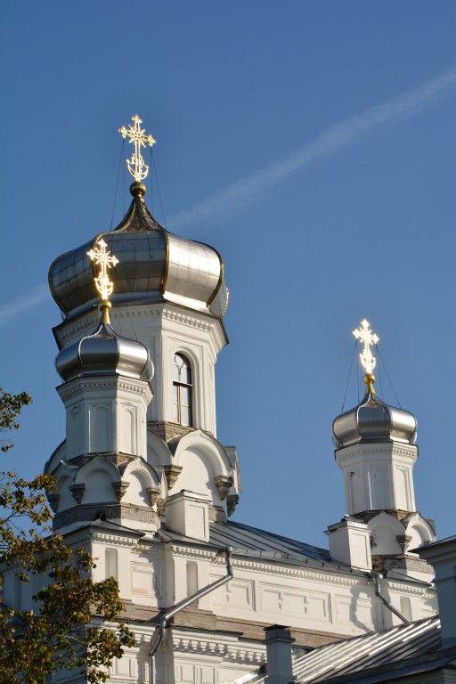 Церковь Александры Римской на Бабигонских высотах, Низино (Ломоносовский район, Ленинградская область). архитектурные детали