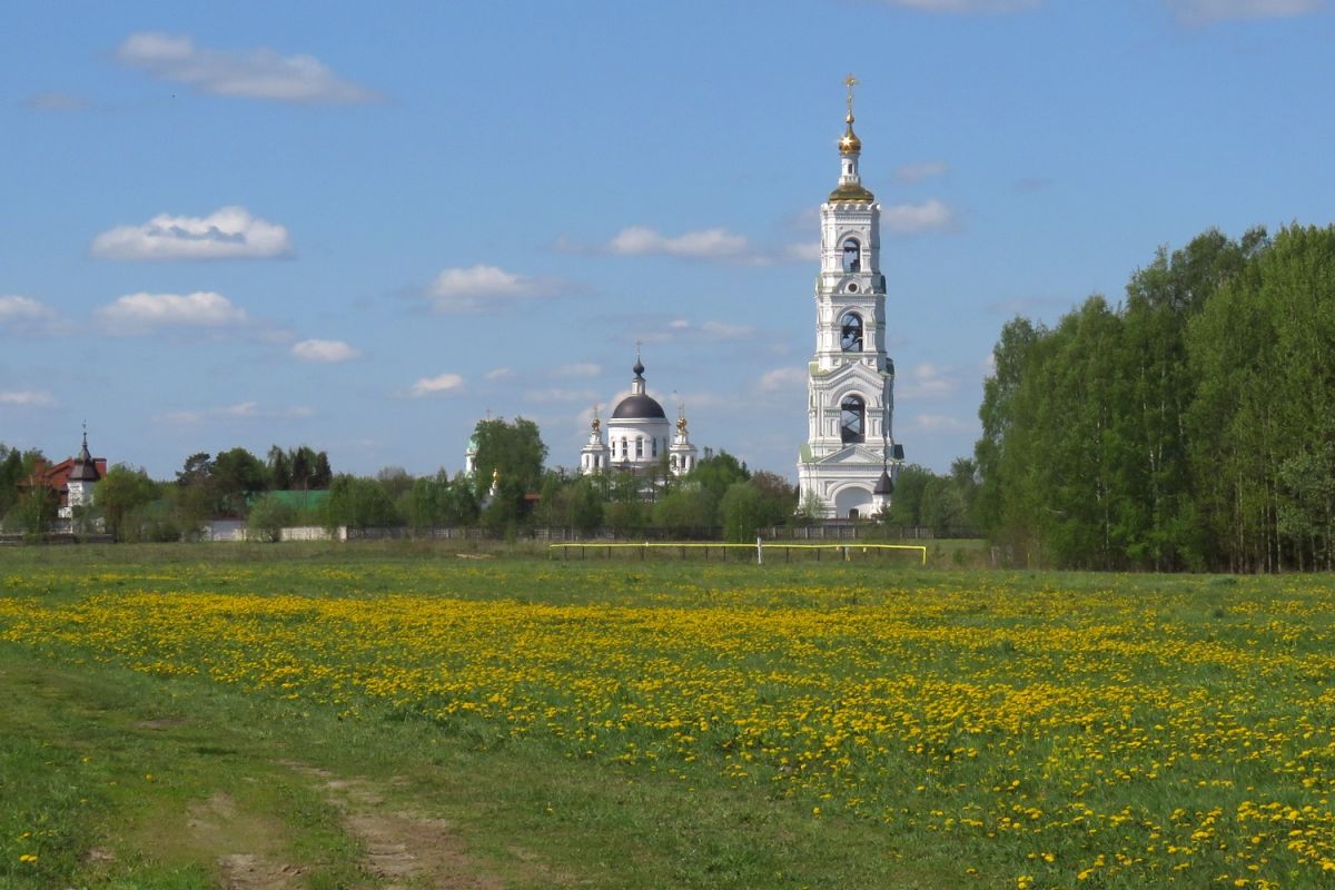 Николо-Берлюковская пустынь, Авдотьино (Богородский городской округ, Московская область). фасады