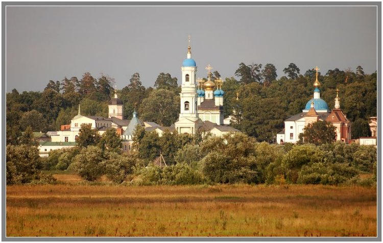 Оптина Пустынь, Козельск (Оптино) (Козельский район, Калужская область). общий вид в ландшафте