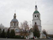 Церковь Троицы Живоначальной - Зарайск - Зарайский городской округ - Московская область