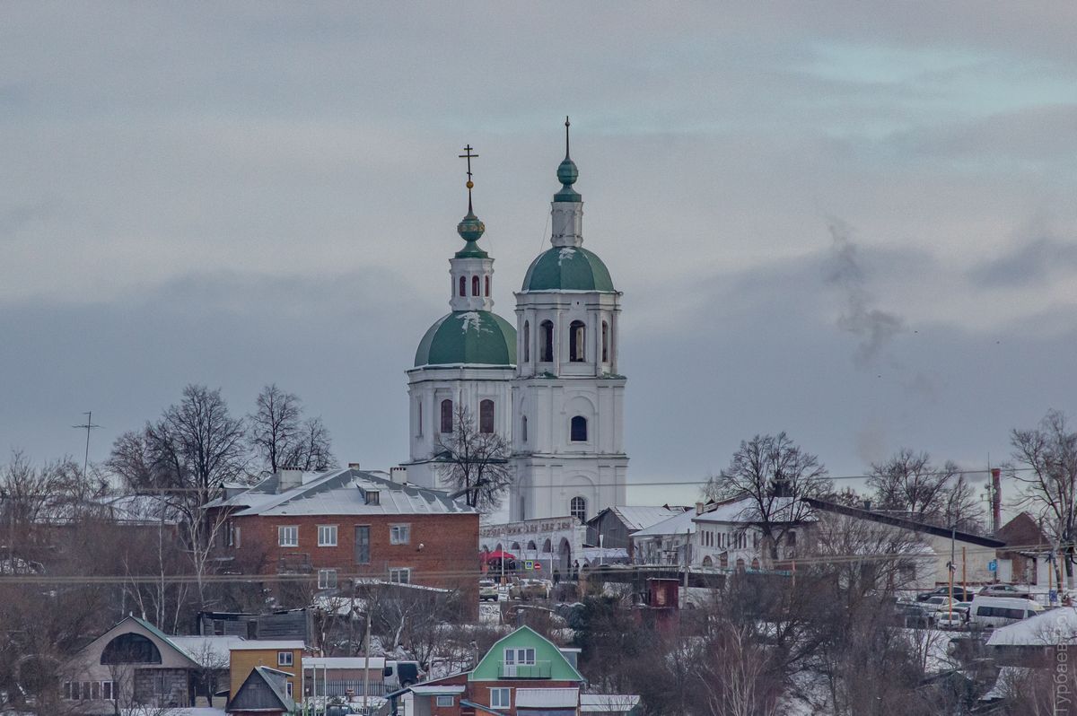 Вид с запада, фасады. Церковь Троицы Живоначальной, Зарайск (Зарайский городской округ, Московская область)