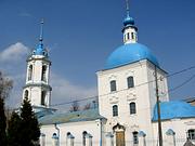 Церковь Благовещения Пресвятой Богородицы, , Зарайск, Зарайский городской округ, Московская область