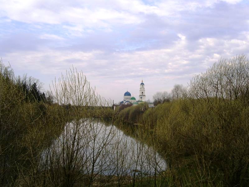 Тихонова пустынь, Льва Толстого, село (Дзержинский район, Калужская область). дополнительная информация, вид с востока, с а/д Р-93 Калуга - Медынь