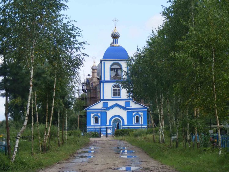Церковь Рождества Христова, Товарково (Дзержинский район, Калужская область). общий вид в ландшафте