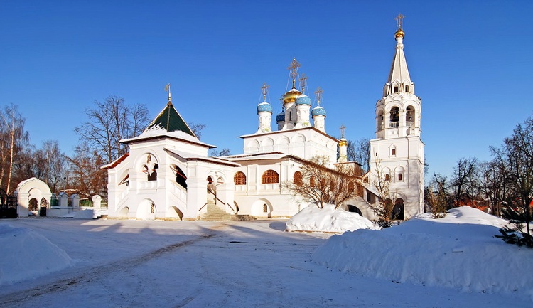 Павловская Слобода. Церковь Благовещения Пресвятой Богородицы. общий вид в ландшафте