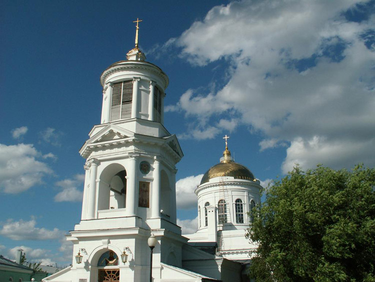 Покровский собор Воронеж зима