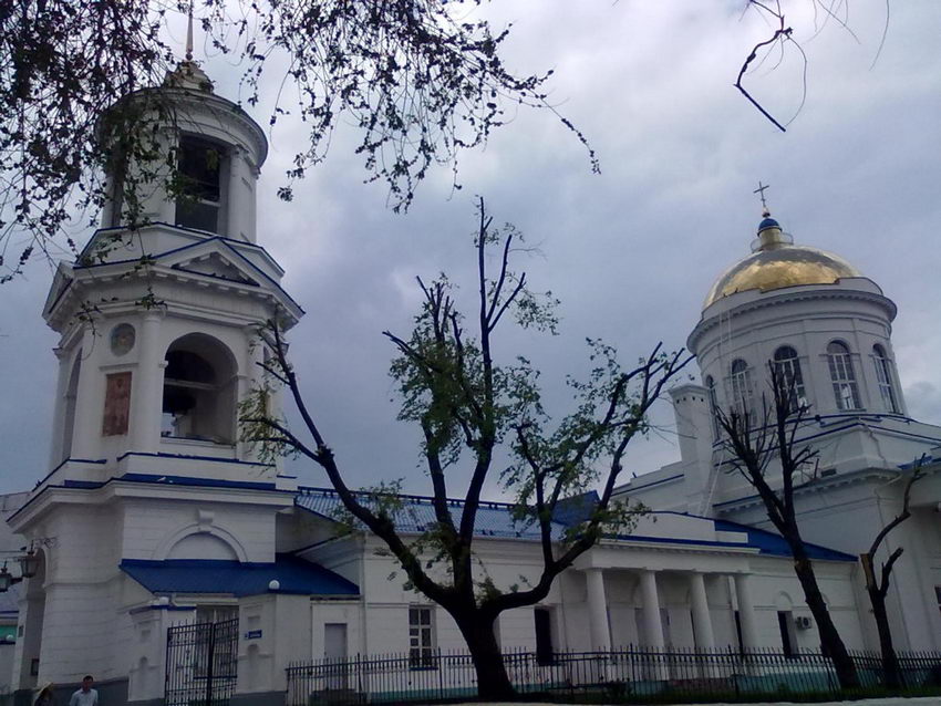 Собор Покрова Пресвятой Богородицы, Воронеж (Воронеж, город, Воронежская область). фасады