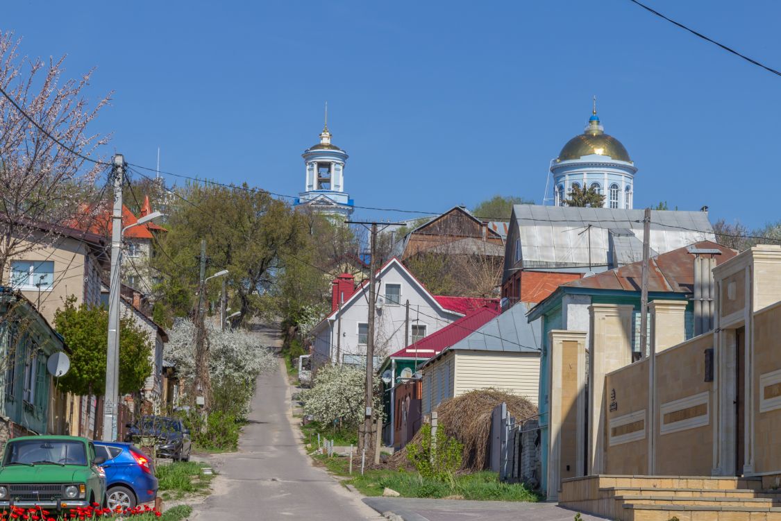 Воронеж. Собор Покрова Пресвятой Богородицы. фасады, Вид в ландшафте с юга