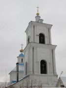 Воронеж. Тихвинской иконы Божией Матери (Тихвино-Онуфриевская), церковь