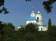 Воронеж. Тихвинской иконы Божией Матери (Тихвино-Онуфриевская), церковь