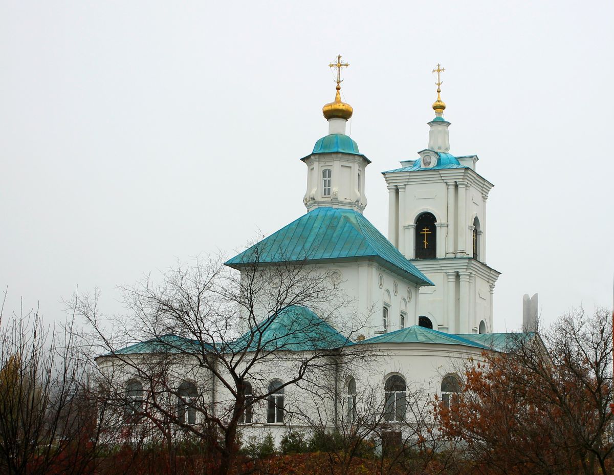 Церковь Тихвинской иконы Божией Матери (Тихвино-Онуфриевская), Воронеж (Воронеж, город, Воронежская область). фасады, Вид с улицы Степана Разина