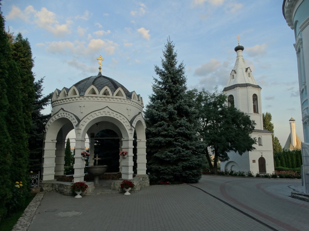 Воронеж. Алексеевский Акатов монастырь. архитектурные детали