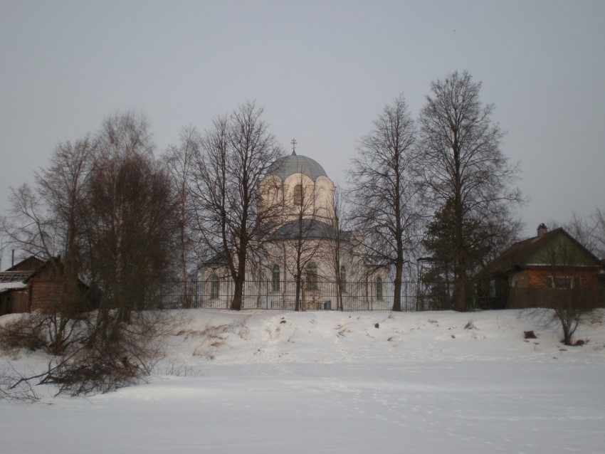 Церковь Преображения Господня, Бронница (Новгородский район, Новгородская область). общий вид в ландшафте