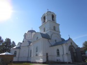 Церковь Спаса Преображения - Бронница - Новгородский район - Новгородская область