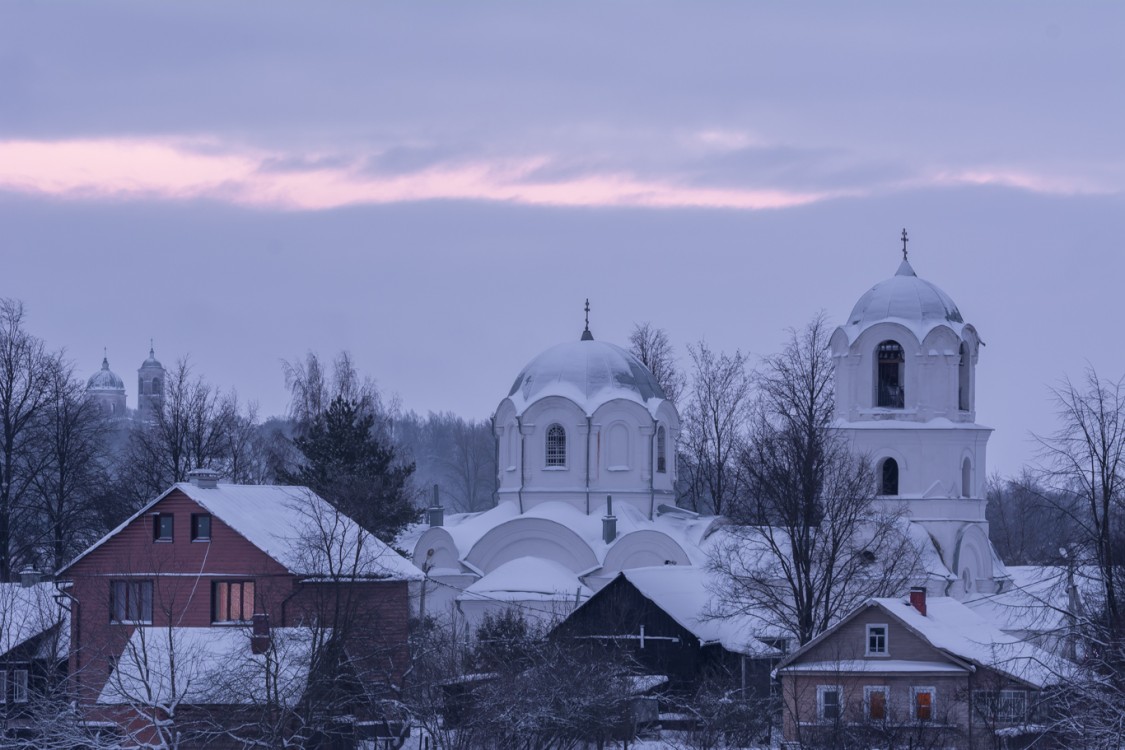 Церковь Спаса Преображения, Бронница (Новгородский район), фотография ...