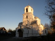 Церковь Спаса Преображения, , Бронница, Новгородский район, Новгородская область
