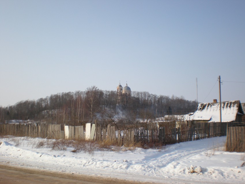 Церковь Введения во храм Пресвятой Богородицы, Бронница (Новгородский район, Новгородская область). общий вид в ландшафте