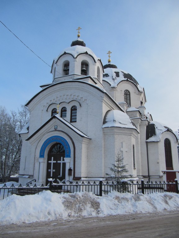 Кафедральный собор Казанской иконы Божией Матери, Луга (Лужский район, Ленинградская область). фасады, Зима...