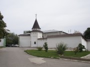 Иоанно-Богословский монастырь, Восточные ворота, Пощупово, Рыбновский район, Рязанская область