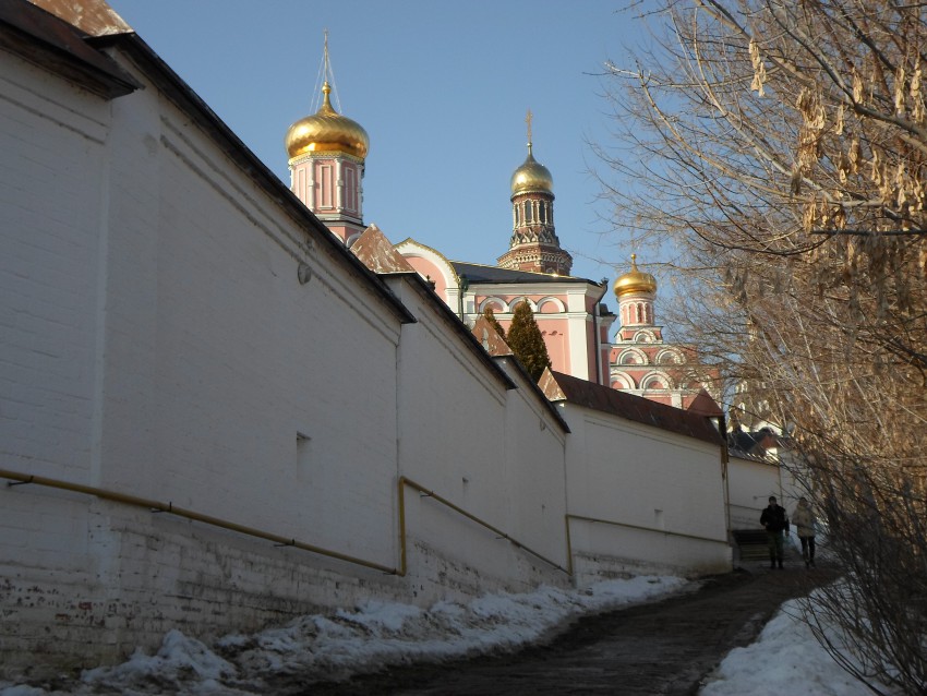 Иоанно-Богословский монастырь, Пощупово (Рыбновский район, Рязанская область). архитектурные детали