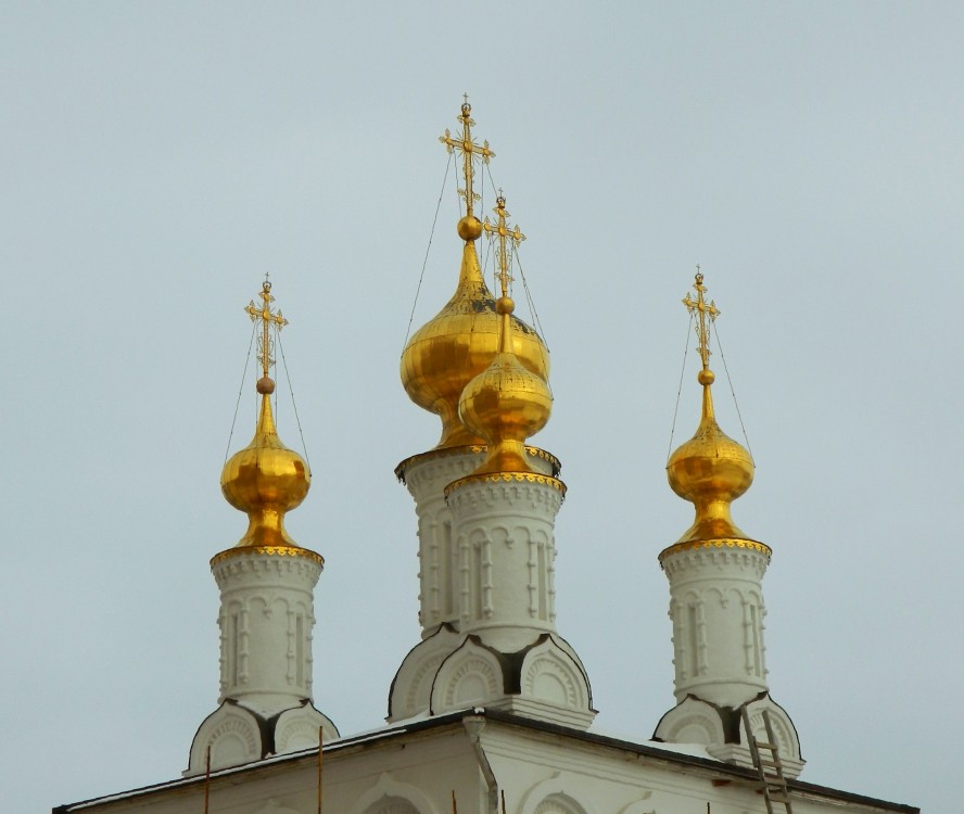 Рязань. Спасо–Преображенский монастырь. Церковь Богоявления Господня. архитектурные детали