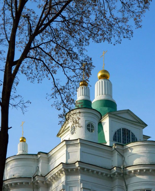 Кафедральный собор Всех Святых, Тула (Тула, город, Тульская область). архитектурные детали
