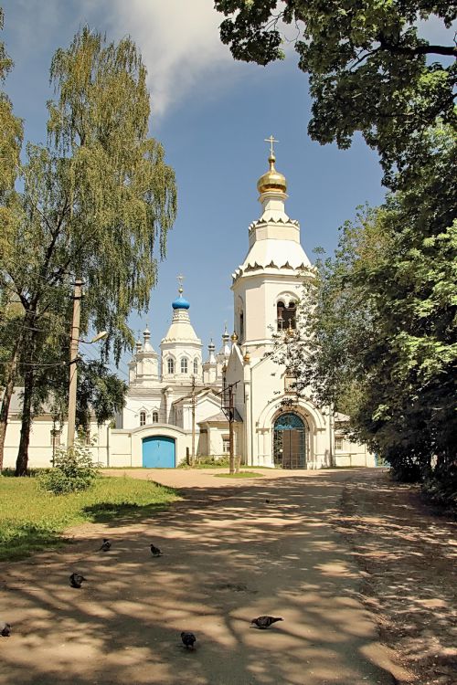 Тула. Богородичный Щегловский монастырь. общий вид в ландшафте