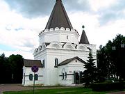 Нижегородский район. Кремль. Собор Михаила Архангела