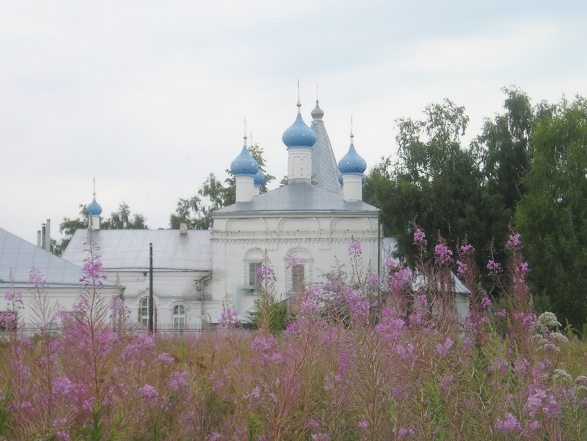 Церковь Казанской иконы Божией Матери, Рожново (Бор, ГО, Нижегородская область). общий вид в ландшафте