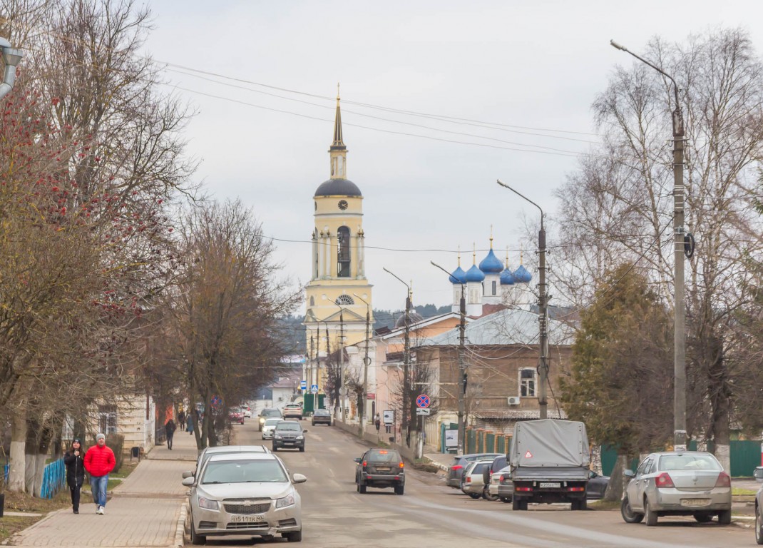 Кафедральный собор Благовещения Пресвятой Богородицы, Боровск (Боровский район, Калужская область). дополнительная информация, Общий вид с юга