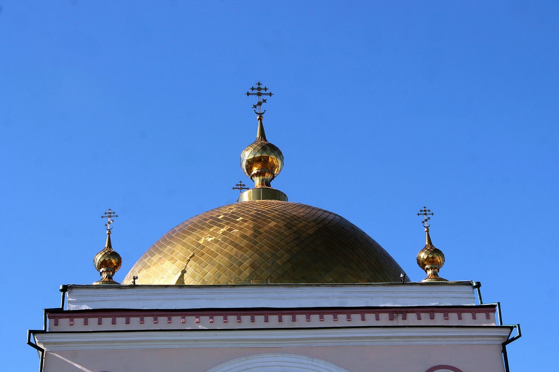 Кафедральный собор Рождества Христова, Липецк (Липецк, город, Липецкая область). архитектурные детали, купол