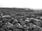 Вильнюс. Успения Пресвятой Богородицы, кафедральный собор