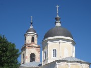 Церковь Рождества Пресвятой Богородицы, , Мещерино, Ступинский городской округ, Московская область