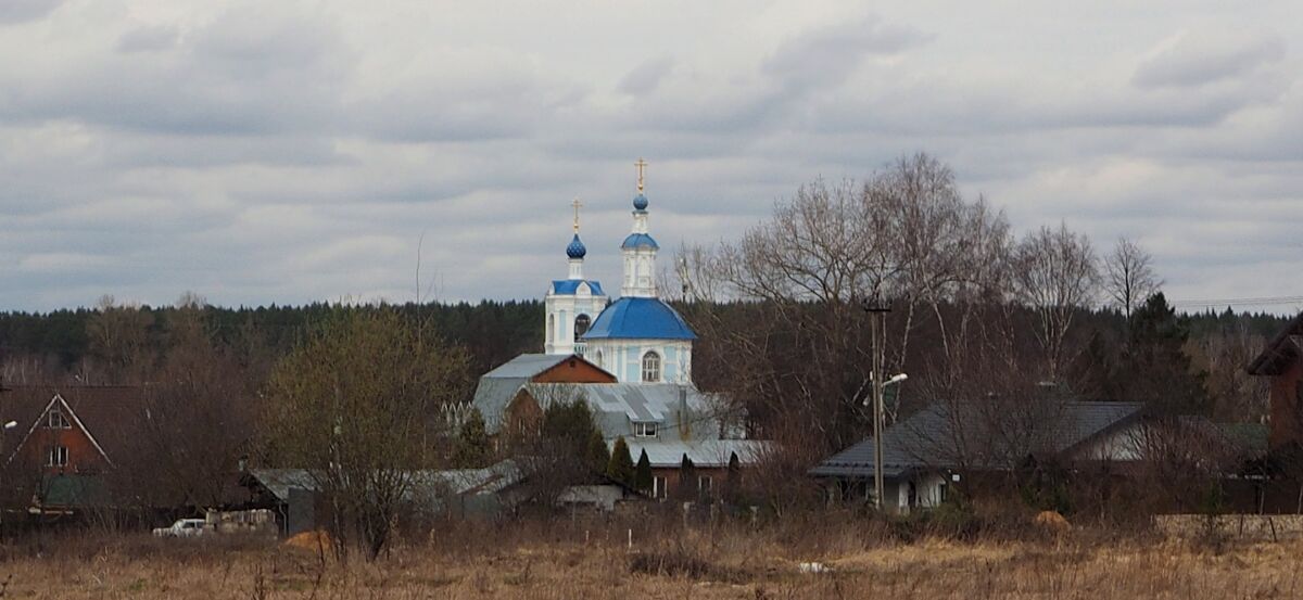 Церковь Покрова Пресвятой Богородицы, Перхушково (Одинцовский городской округ и ЗАТО Власиха, Краснознаменск, Московская область). общий вид в ландшафте