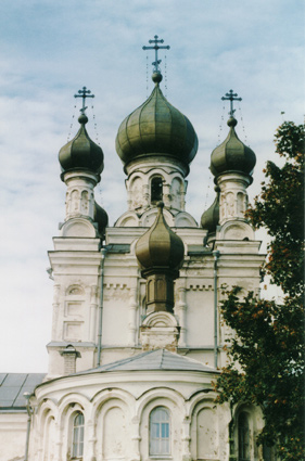Церковь Петра и Павла, Ветвеник (Гдовский район, Псковская область). архитектурные детали