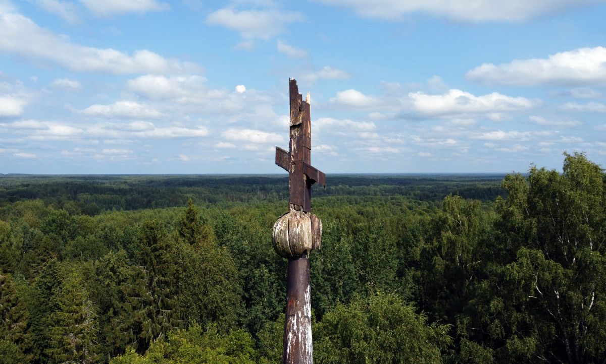 Погост, урочище. Церковь Рождества Христова. архитектурные детали